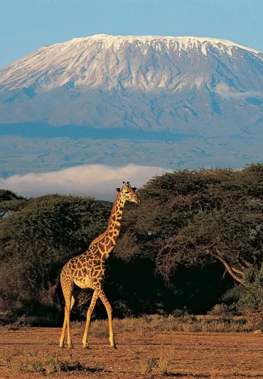 Mount-Kilimanjaro-Tanzania