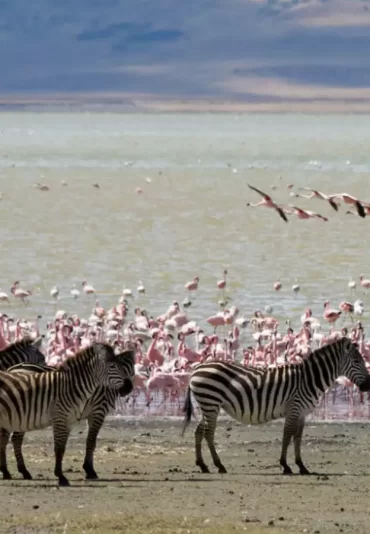 Ngorongoro-Conservation-Area